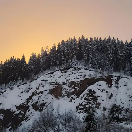 Holzwald בית נופש *
