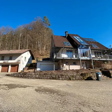 Holzwald * Bad Rippoldsau-Schapbach